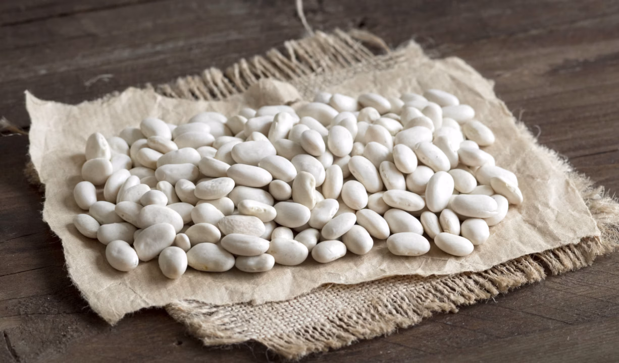 Quels sont les bienfaits des graines de chia pour la santé ?