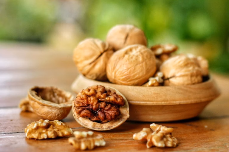 La noix, ses bienfaits et propriétés nutritionnelles