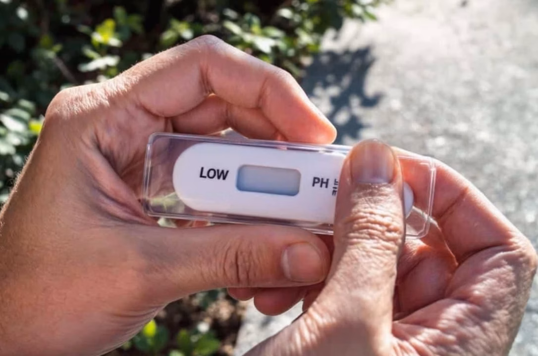 CPK : quel est le bon taux de créatine phosphokinase ?